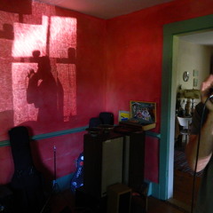 Killing Snakes - w/Tom Basler