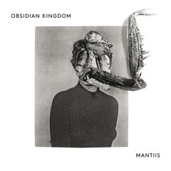 Obsidian Kingdom - Last of the Light