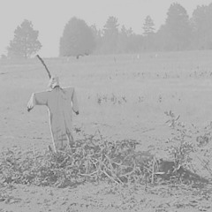 Does Anything Reallly Change