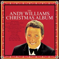 Happy Holiday (Andy Williams cover)