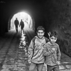 Our Stories in the Wind