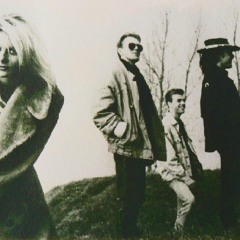 Into You (And Back Up Again...)-Ank Wayne Band