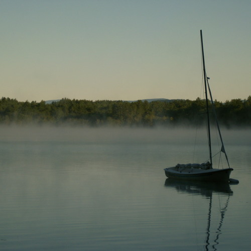 Bach: English Suite No. 2 in A minor...Allemande