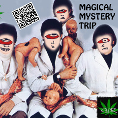 Something (Cover) Magical Mystery Trip