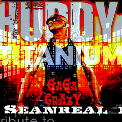 Seanreal Mix David Guetta VS Chuddy K -  Titanium -Gaga Crazy