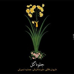 آواز بیات کرد | علیرضا قربانی