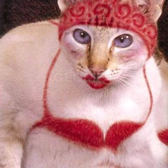 Kabhi Alvida Na Kehna Bollywood Rock Remix