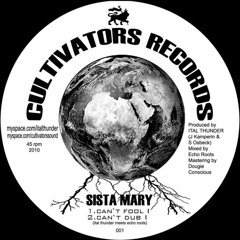 Sista Mary - Can't Fool I (EnRoute massive remix)