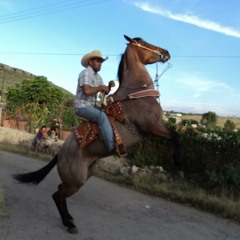 07 Te Di Lo Mejor De Mi Vida