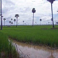 YK2G, L Tipz & Ruzkitt - Paradize In Da Hood