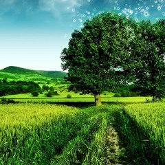 Memory of the Meadow