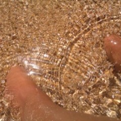 Manzanita- Un ramito de violetas (Cover)