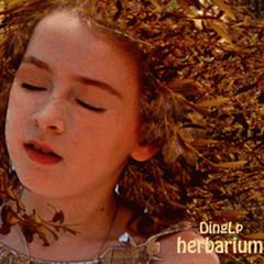 Ding Lp feat OksanaSobol -Herbarium