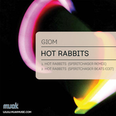 Giom - Hot Rabbits - Spiritchaser Remix