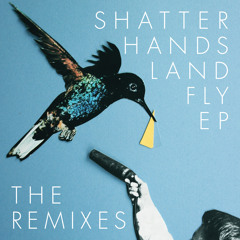 Shatter Hands - Land Fly (Prof.logik Remix) (Land Fly EP - The Remixes) [Digital + Tape]