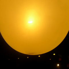 SHAY ZEITUNEY-Hallucidub