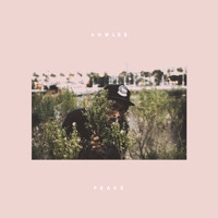 Ahwlee ✘ the art of rəuse | P E A K S