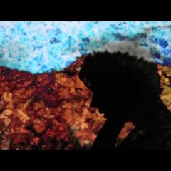 David Montiel - Donde Va (Ulises Hadjis Ukulele Cover)