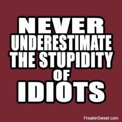 NicolasBarcel//Proud to Be an idiot#1