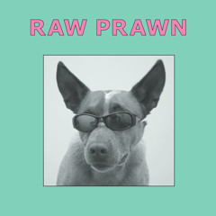 Raw Prawn - None Left