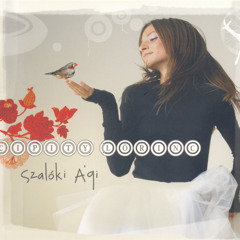 Cipity Lőrinc - Pergető