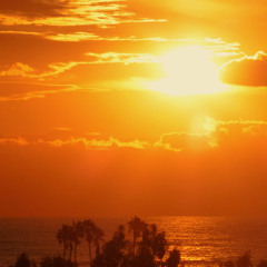 Benjamin Busse - Think twice