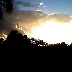 Una Carta Para Mi Madre- Zaapper