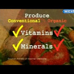 Just Tell Me What To Eat Ep. 3