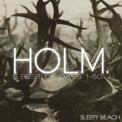 06. Holm. - You Give Me Good Vibes. (Day 13)