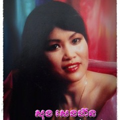សុង សេងហ៊ន - វីយូឡុងស្នេហា