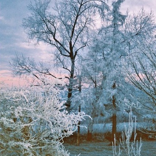 Best of the Best (Classics & Fresh Mixes)