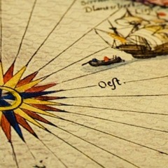 Knew Born Organizm - Detox