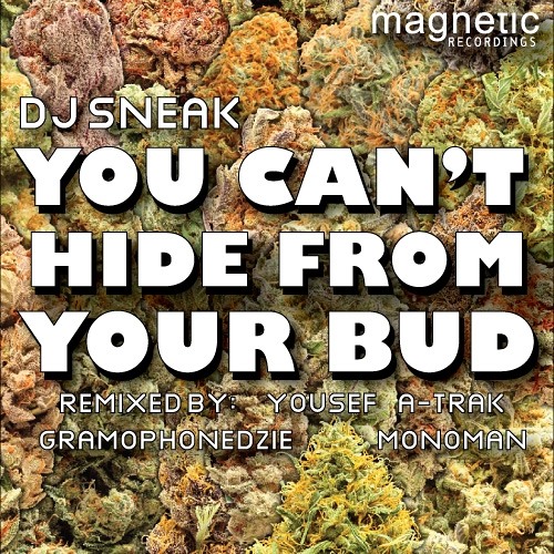 DJ SNEAK | YOU CAN'T HIDE FROM YOUR BUD | DJ SNEAK'S 2010 REMIX | MAGD003