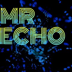 Mr Echo- Falling (Instrumental)