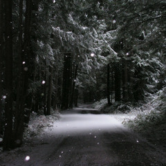 Carol of the Bells (Christmas Beat)