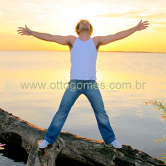 Otto Gomes LIVRE PRA VOAR