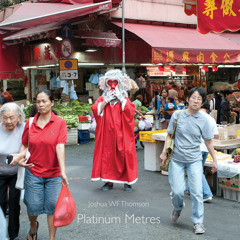 Joshua WF Thomson - v, Jakarta, Indonesia, Oceania - Platinum Metres