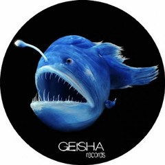 My Stereophoenix journeys :) various