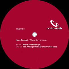 Kaan Duzarat - Where Did Heron Go (excerpt)