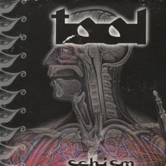 Schism (Tool Cover)