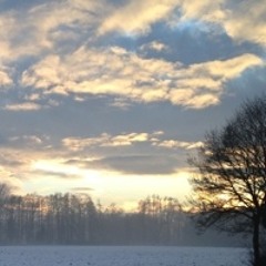A Scandinavian Light