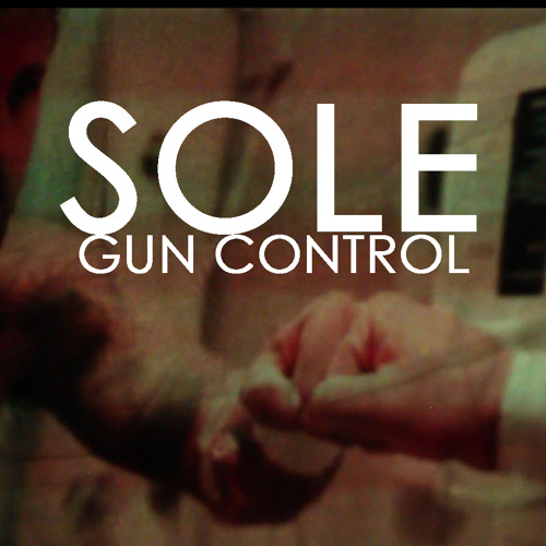 Sole - Gun Control