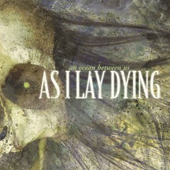As I Lay Dying - Within Destruction