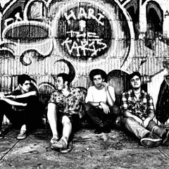 Hari and the Karis - 24 hours