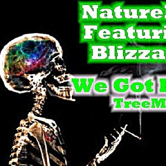 We Got High (TREEmix) NatureBoi & Blizzard