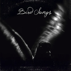 (2009) Pigeondust - Bird Songs