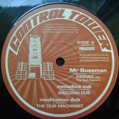 WEEDINGDUB meets The Dub Machinist - Mr Bossman melodica cut