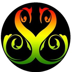 Starbaks reggae - Fine