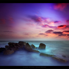 Marco Volento - Influence