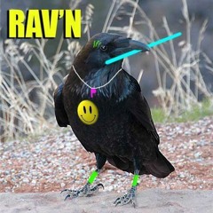 Rave Is King Put Ya Back In It